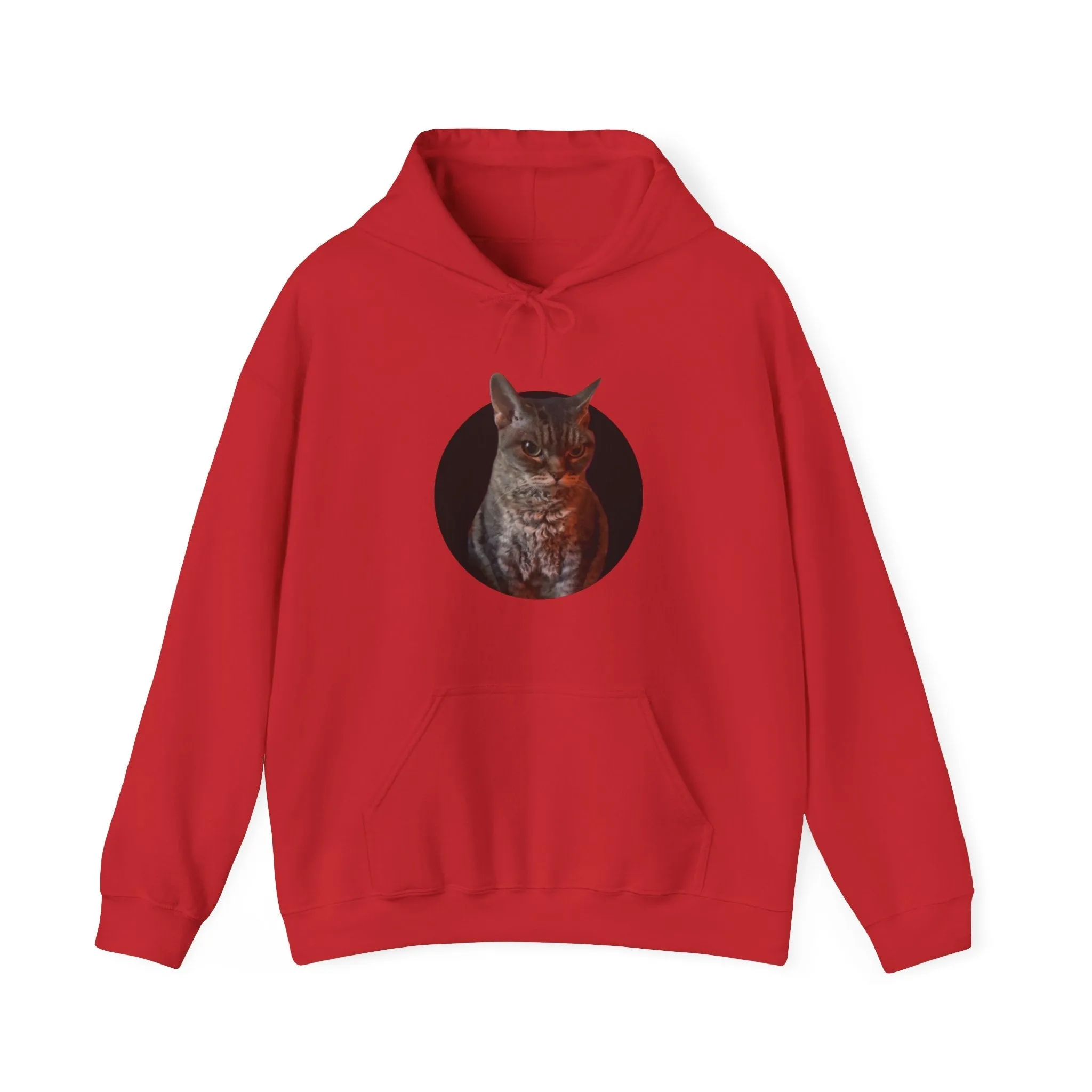 Angry Cat Meme Unisex Heavy Blend Hooded Sweatshirt